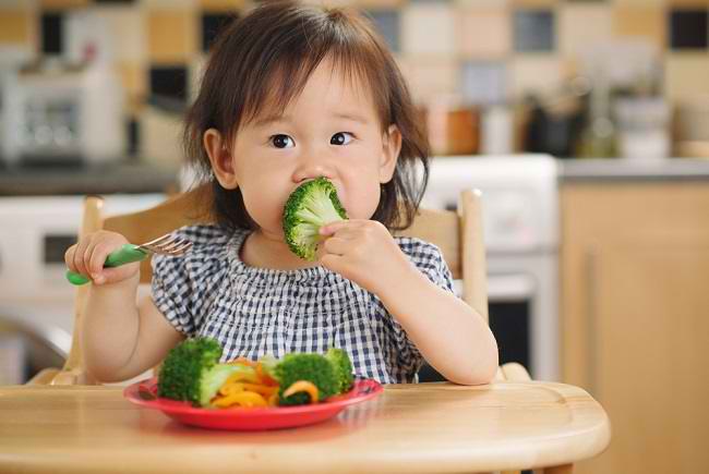 Pentingnya Serat untuk Pencernaan dan Perkembangan Anak